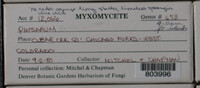 Image Associated With the Occurence